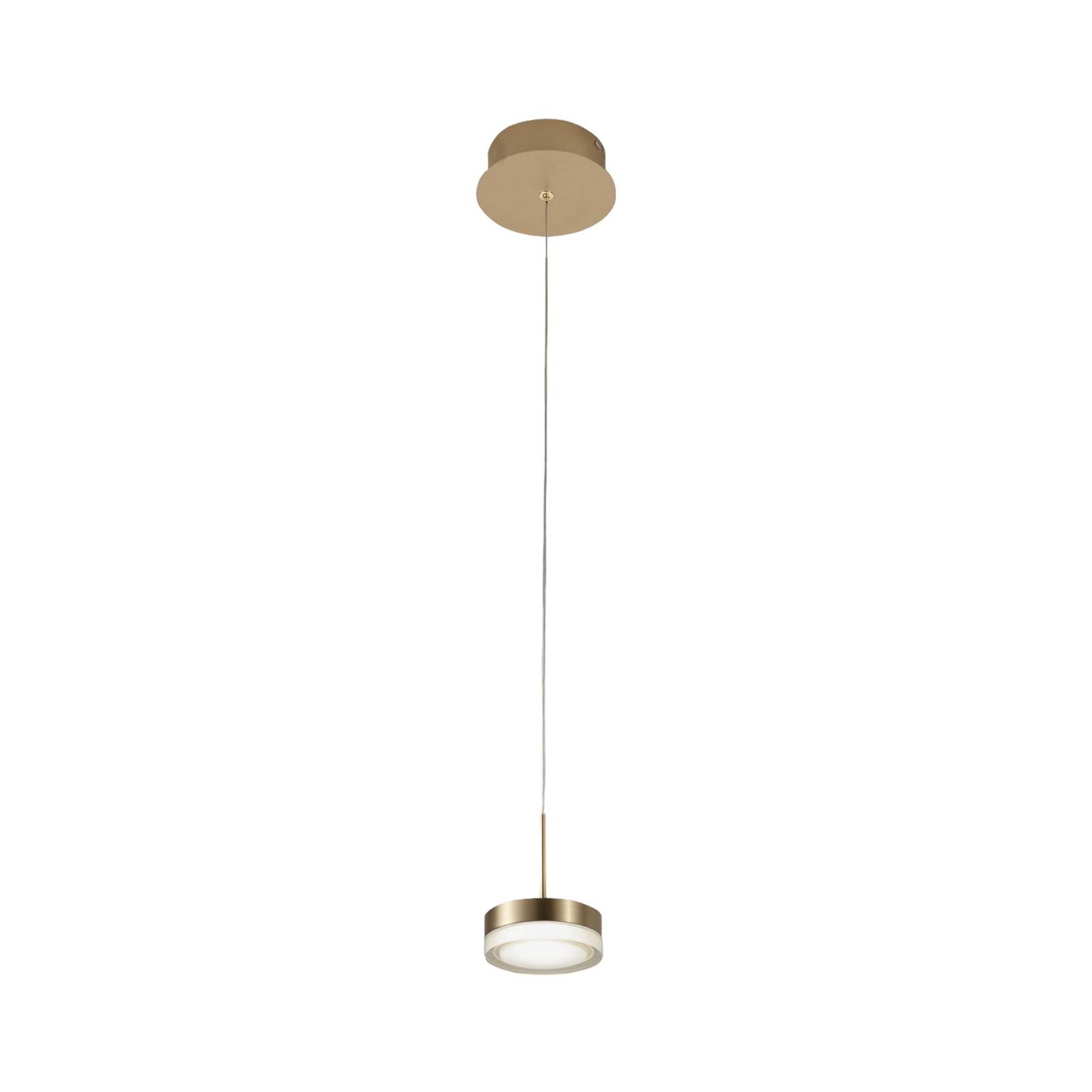 LED-Hängeleuchte Dunk, messing, 1-flammig, 3.000 K, Metall