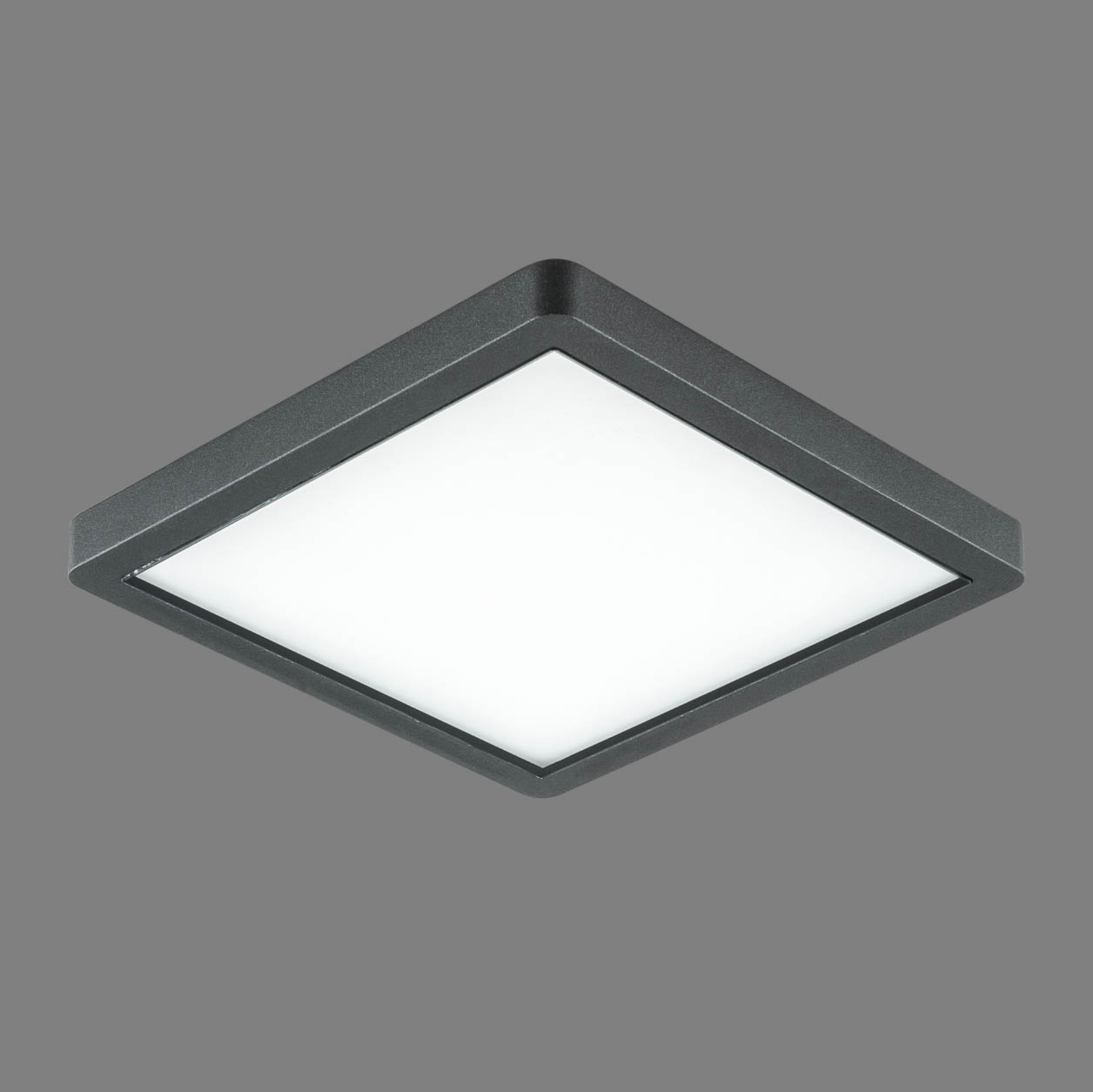 EVN Tectum LED udendørs loftlampe, kantet med glas