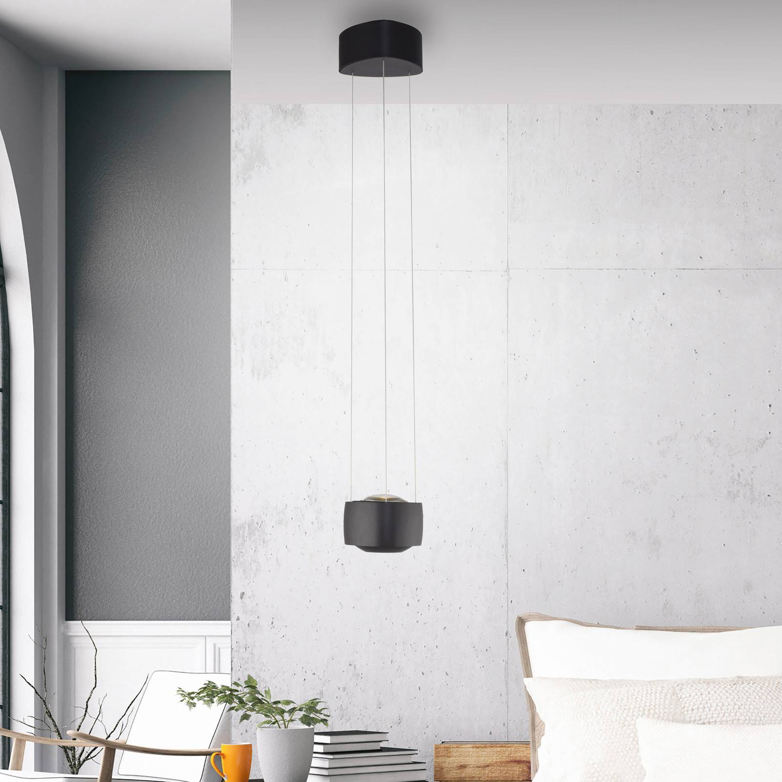 Paul Neuhaus LED-Pendelleuchte Q-Stretto, schwarz, Ø 14,5cm günstig online kaufen