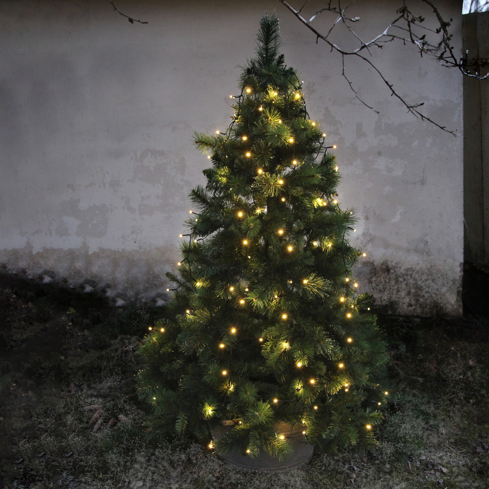 STAR TRADING Perdea arbore Treelight LED cu 8 șiruri - negru - Plastic