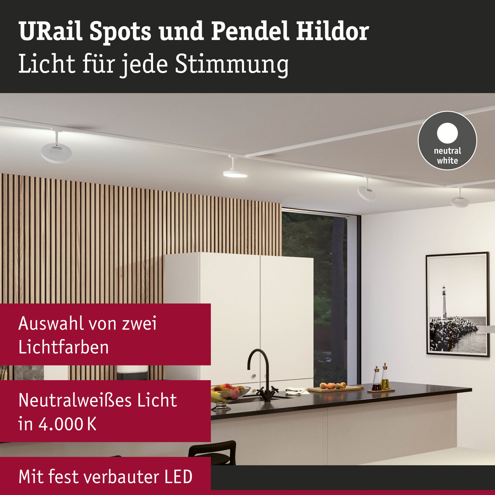 Paulmann URail Hildor -LED-spotti valkoinen 4 000K