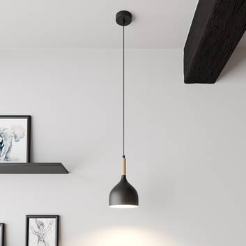 Hanglamp Noak, 1-lamp, zwart/hout natuur