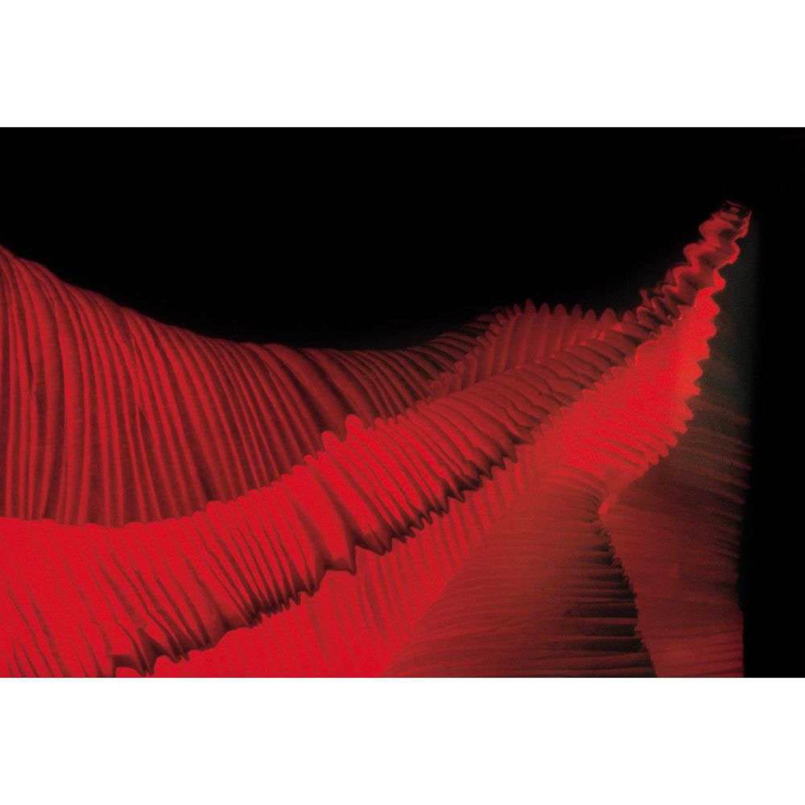 Kokoro LED Table Lamp Red/Anthracite - Ingo Maurer
