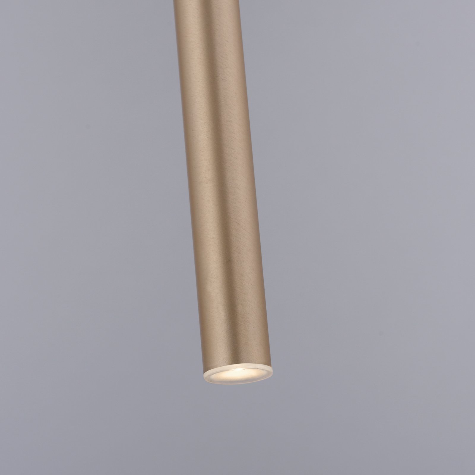 Paul Neuhaus Flauta LED lámpara colgante 1 luz latón