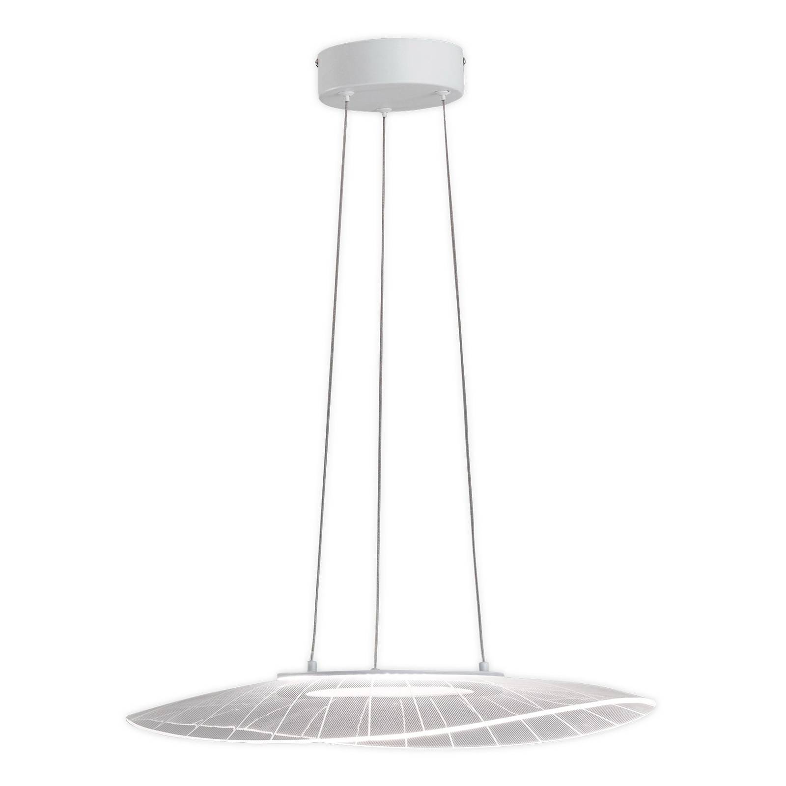 LED függő lámpa Vela, fehér, ovális 59 cm × 43 cm