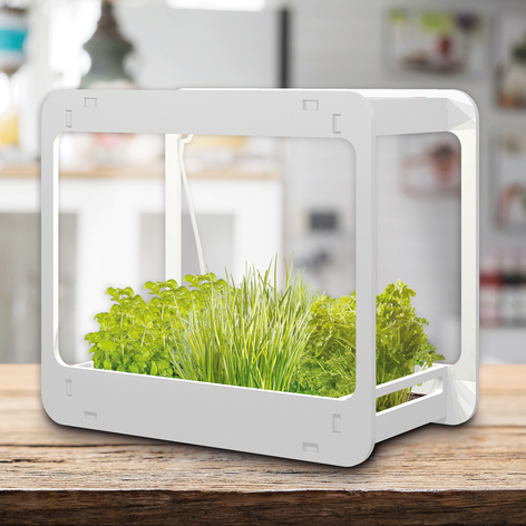 LED-Pflanzenleuchte Garden mit Timer, 48 cm