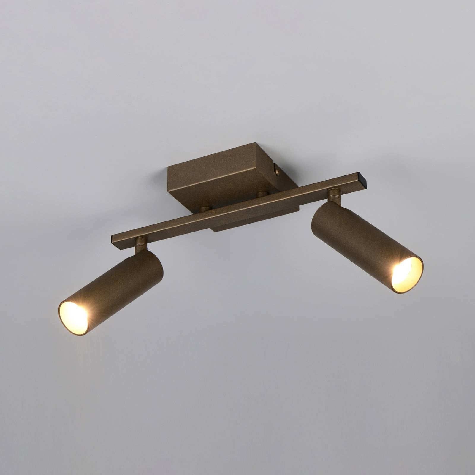 Trio Lighting Plafondspot Dara, lengte 28 cm, platinakleurig, metaal, 2-lamps.