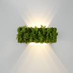 Zöld Carlo LED fali lámpa, fel/le, valódi moha