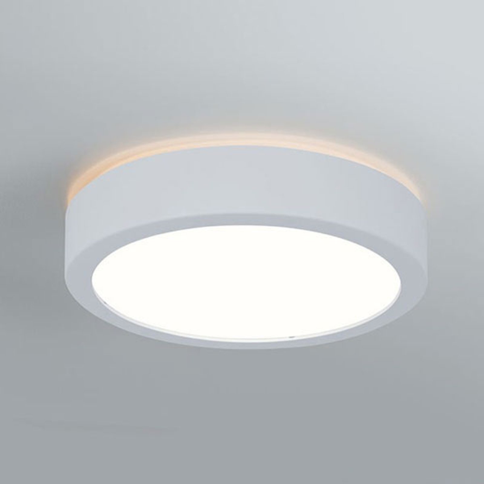 Paulmann Aviar LED stropní světlo Ø22cm bílá 4000K