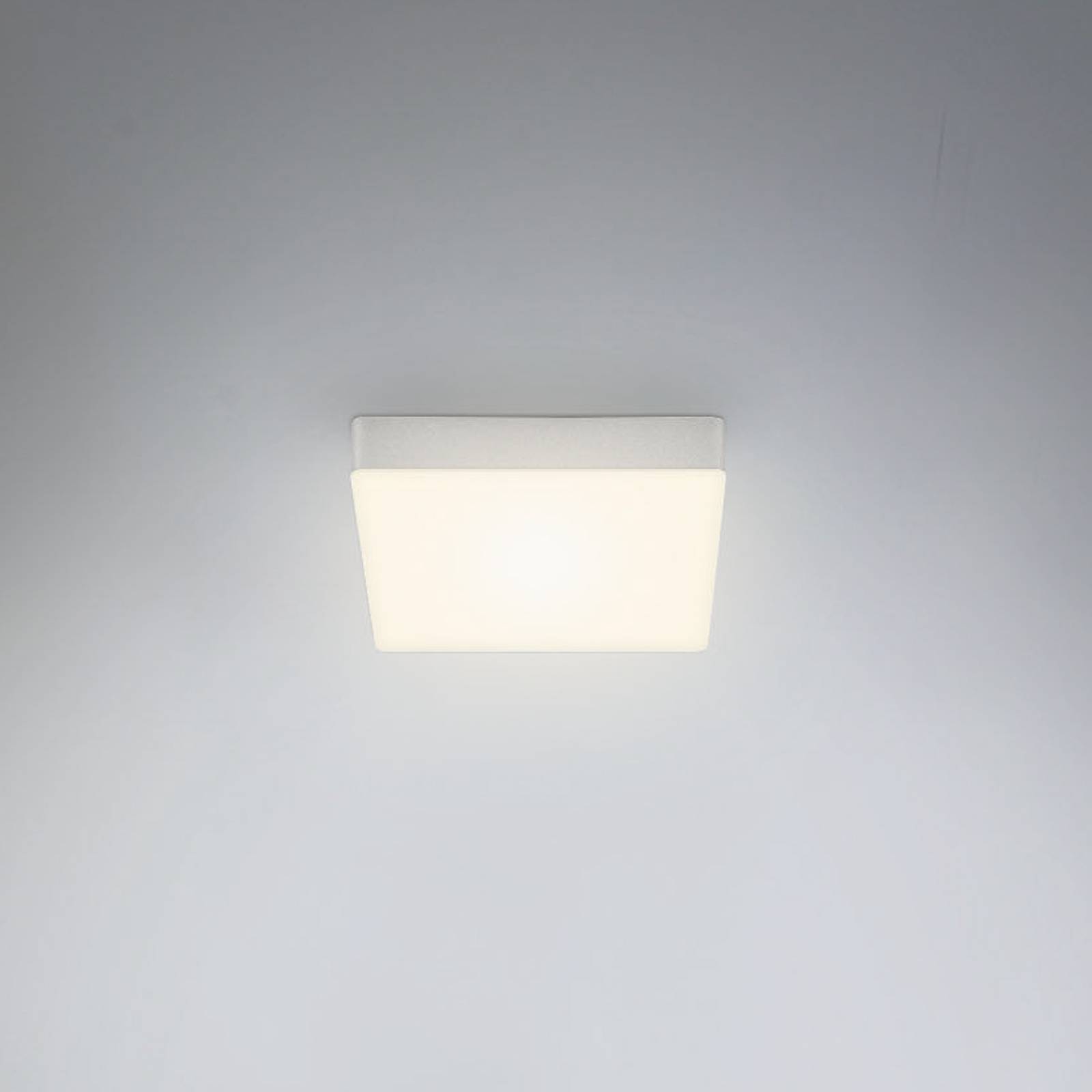Lampa sufitowa LED Flame, 15,7 x 15,7 cm, srebrna