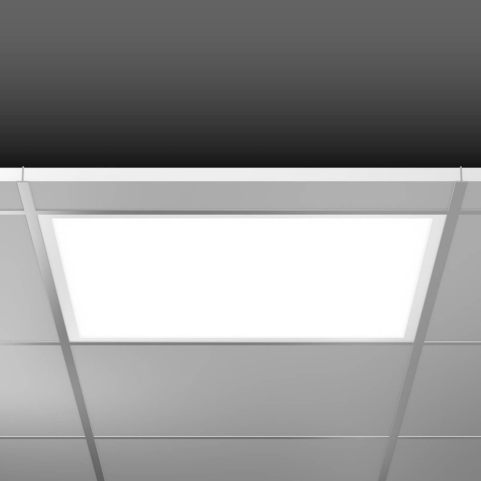 RZB Sidelite Eco LED panel DALI 59,5 cm 29 W 840