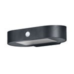 LEDVANCE Endura Style Solar Oval S applique murale 3000K