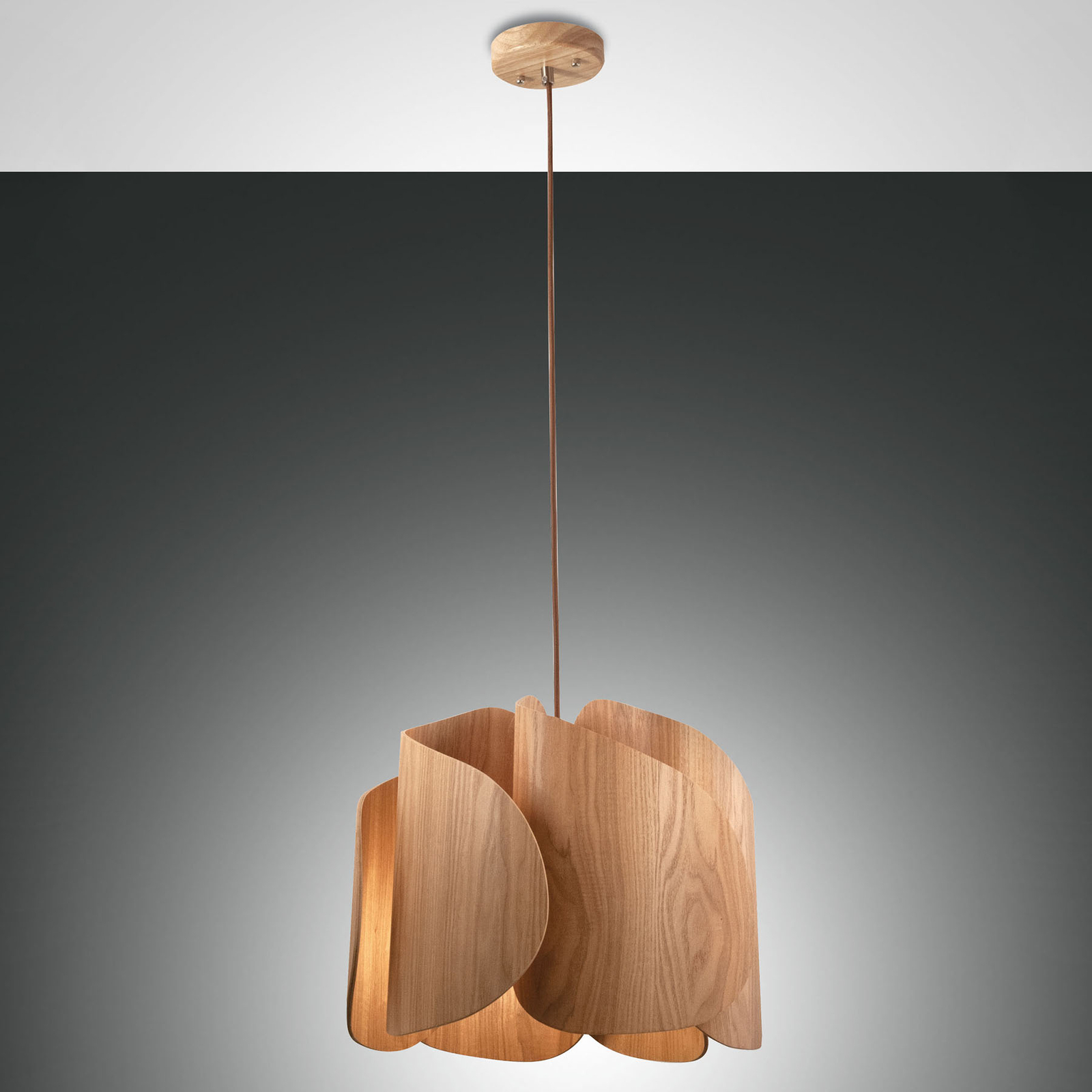 Hanging light Pevero in ash wood, curved shape