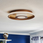 LED-Deckenleuchte Bug rund, rost