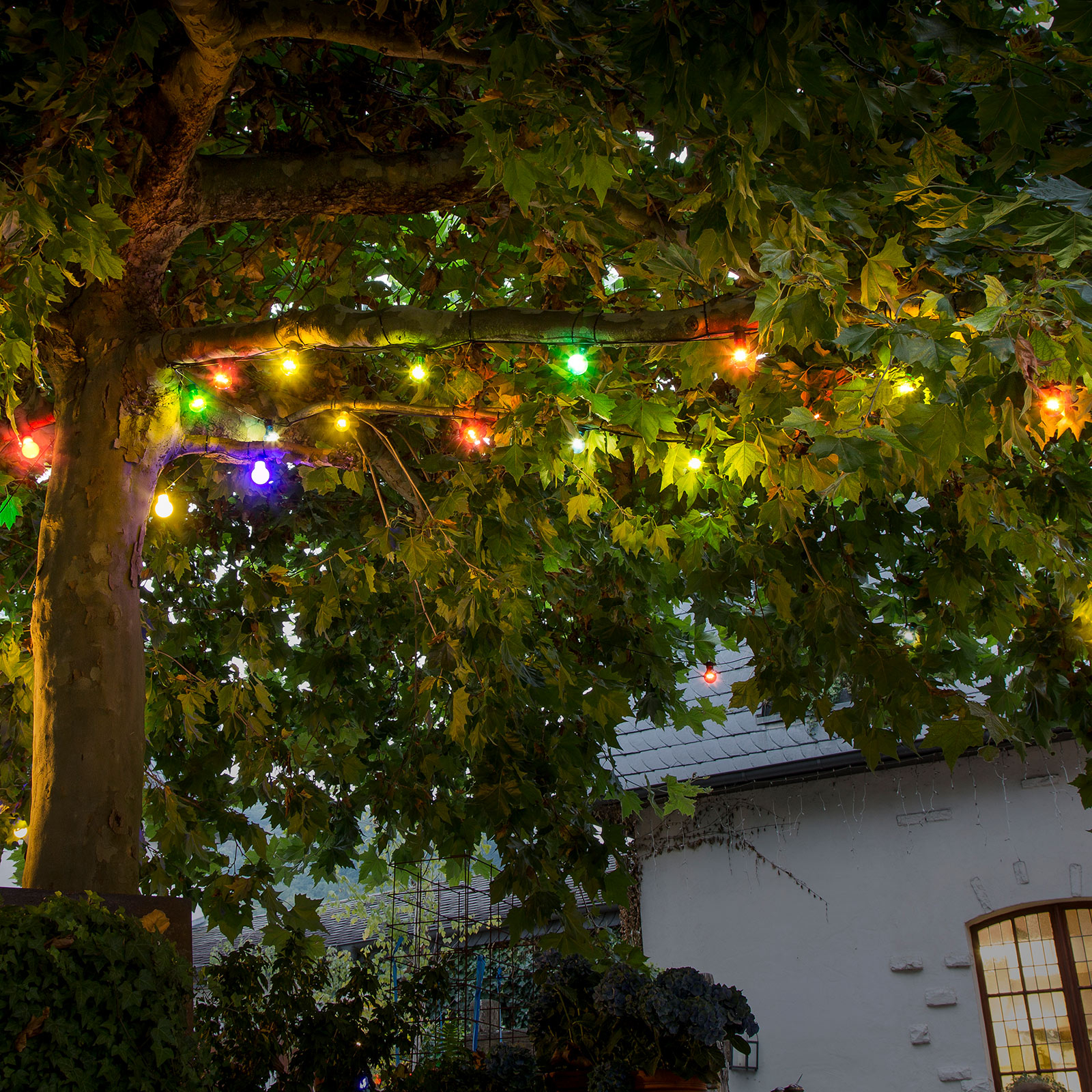 Guirlande Biergarten 10 ampoules LED colorées