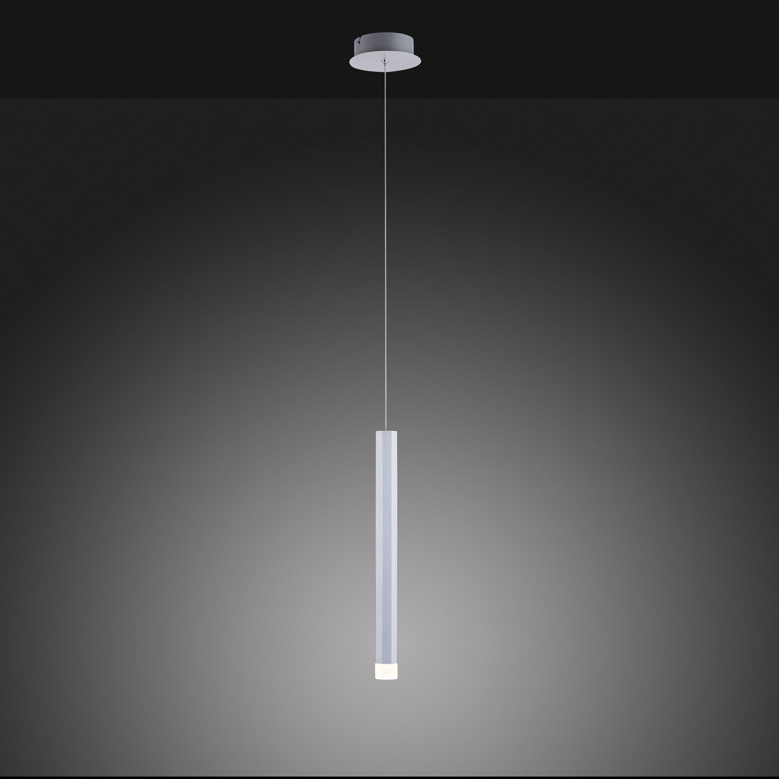 Bruno LED pendant light, 1-bulb