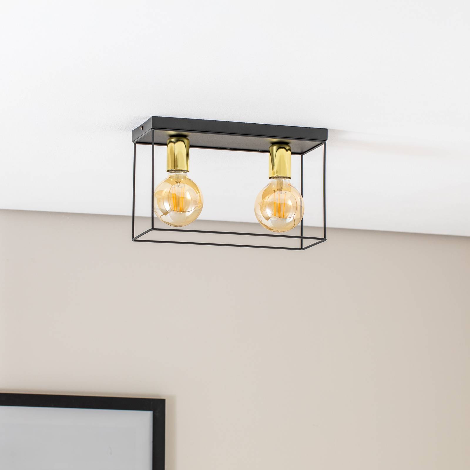 Lampa sufitowa Anna z metalową ramą, 2-punktowa
