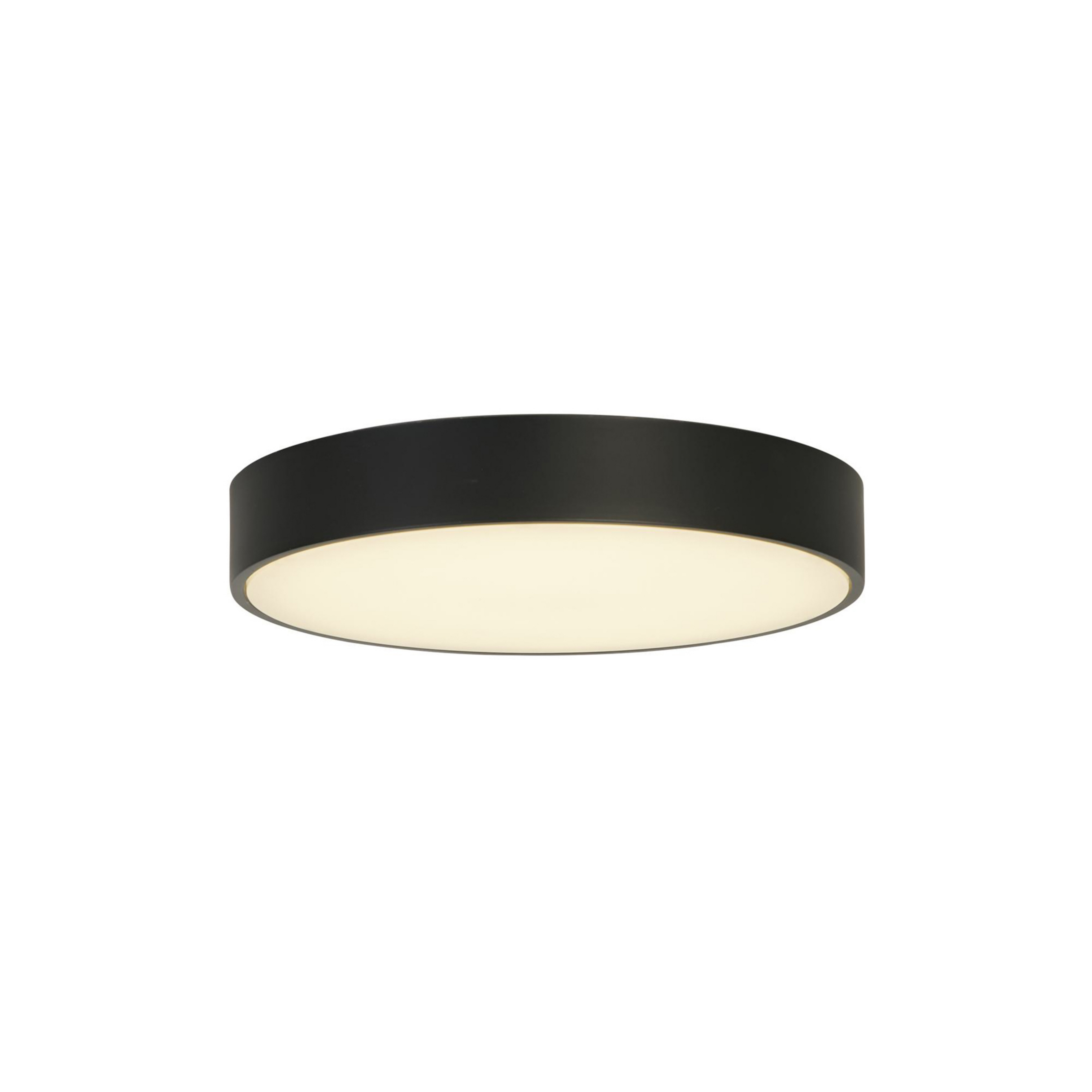 Stropna svetilka Palma LED, črna, Ø 25 cm, jeklo/akril