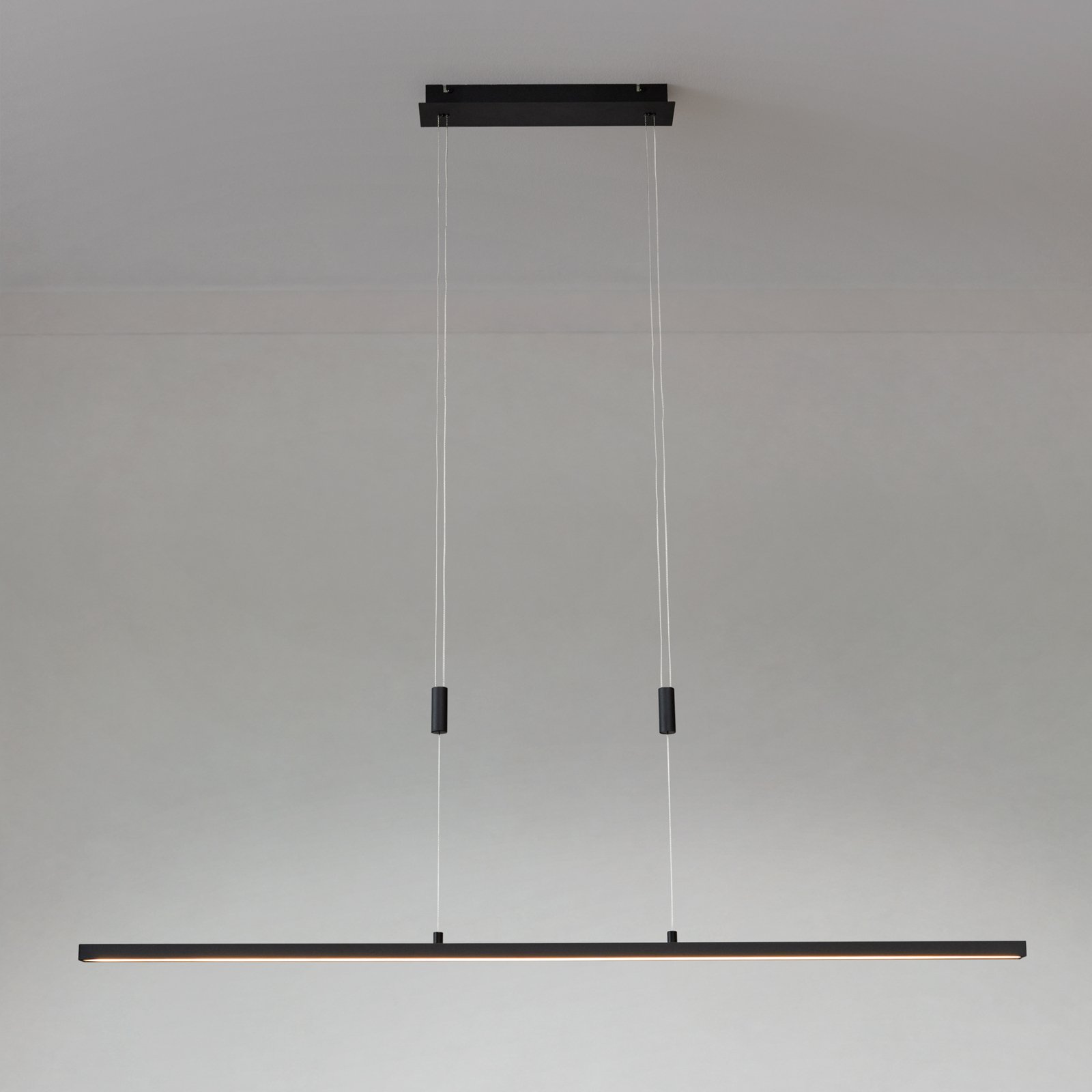 Arneja Hanglamp Black - Lindby