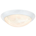 Westinghouse 6106640/6308940 LED ceiling light