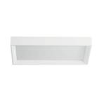 Φωτιστικό οροφής LED Tara dimmable, 54 x 29 cm