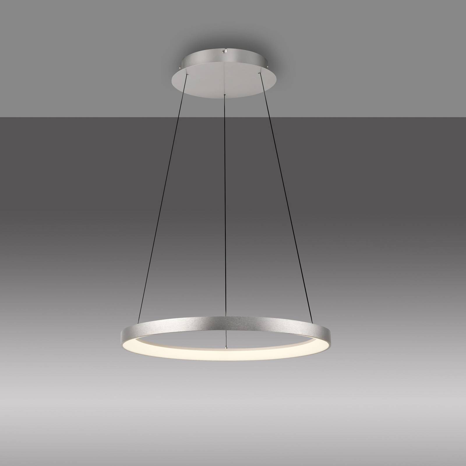 Paul Neuhaus Lampa wisząca LED Hoop, kolor aluminium, Ø 57 cm, ściemniana