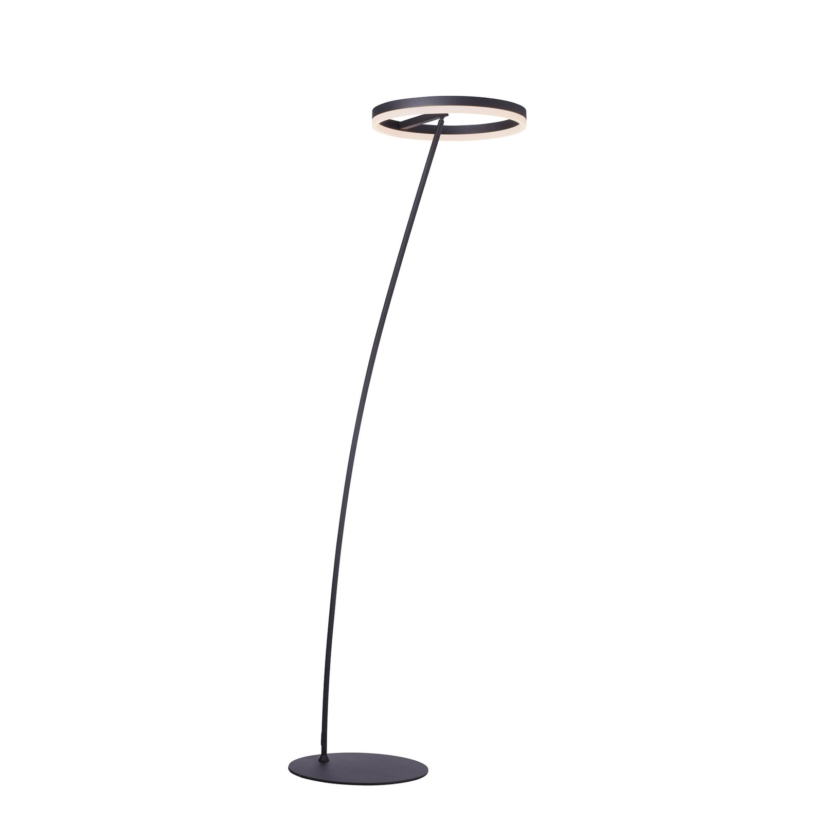 Paul Neuhaus Titus lampa stojąca LED antracyt