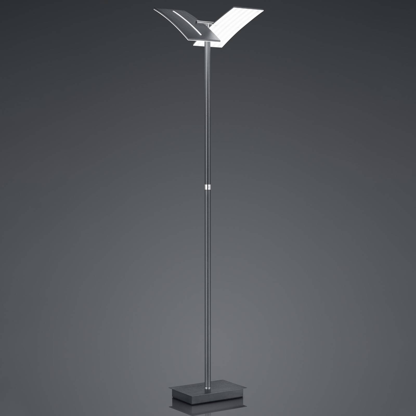 HELL LED stojací lampa Dual CCT, stmívatelná, antracitová