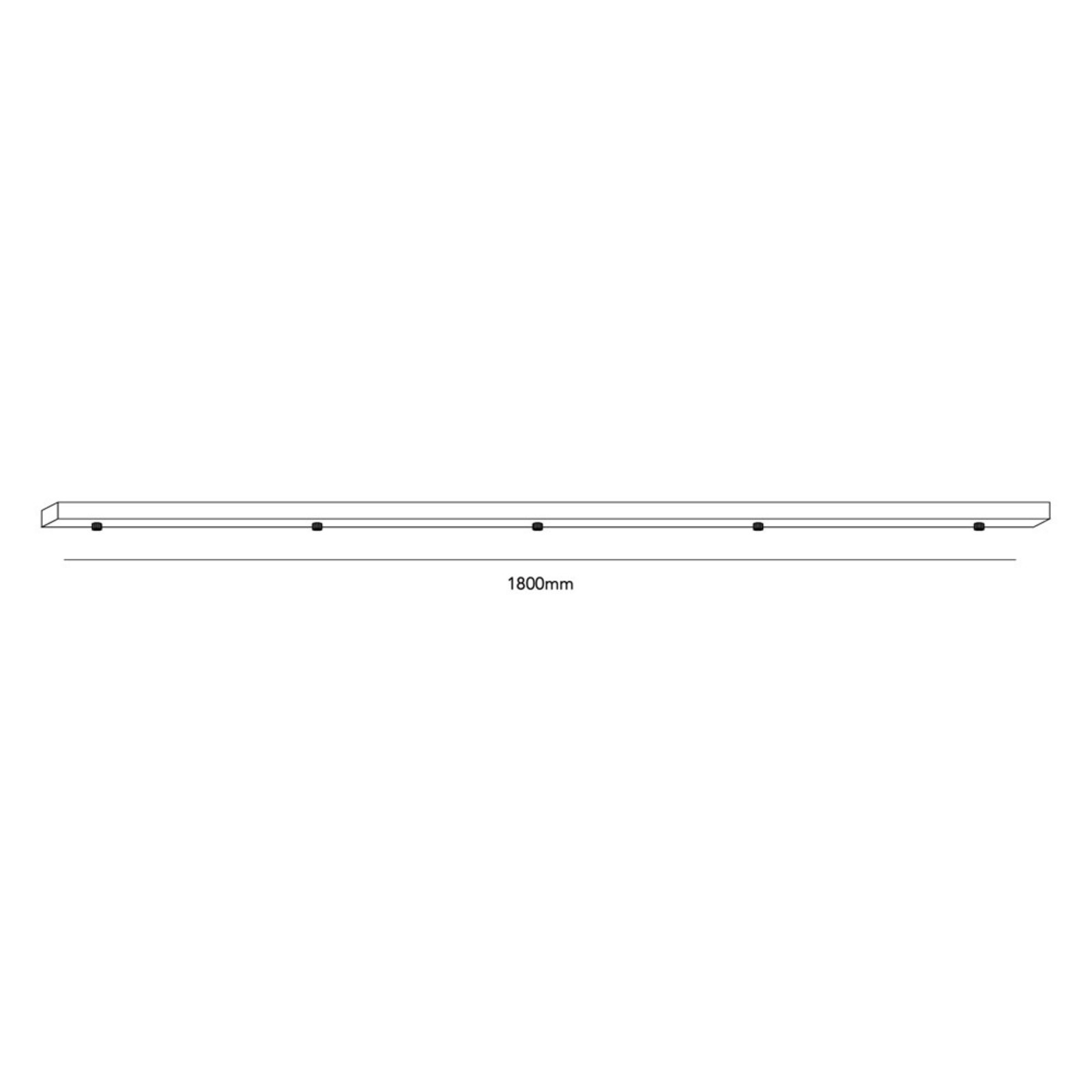 Ceiling Bas L1800/5 Taklampor Black - LIGHT-POINT