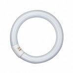 G10q 32W 840 Lumilux T9C ringvormige tl-lamp