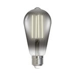 LUUMR Filamento LED intelligente E27 ST64 grigio fumo 4,9W Tuya WLAN