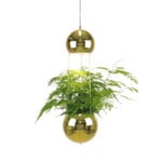 Mini Planter Taklampa Mässing - Globen Lighting