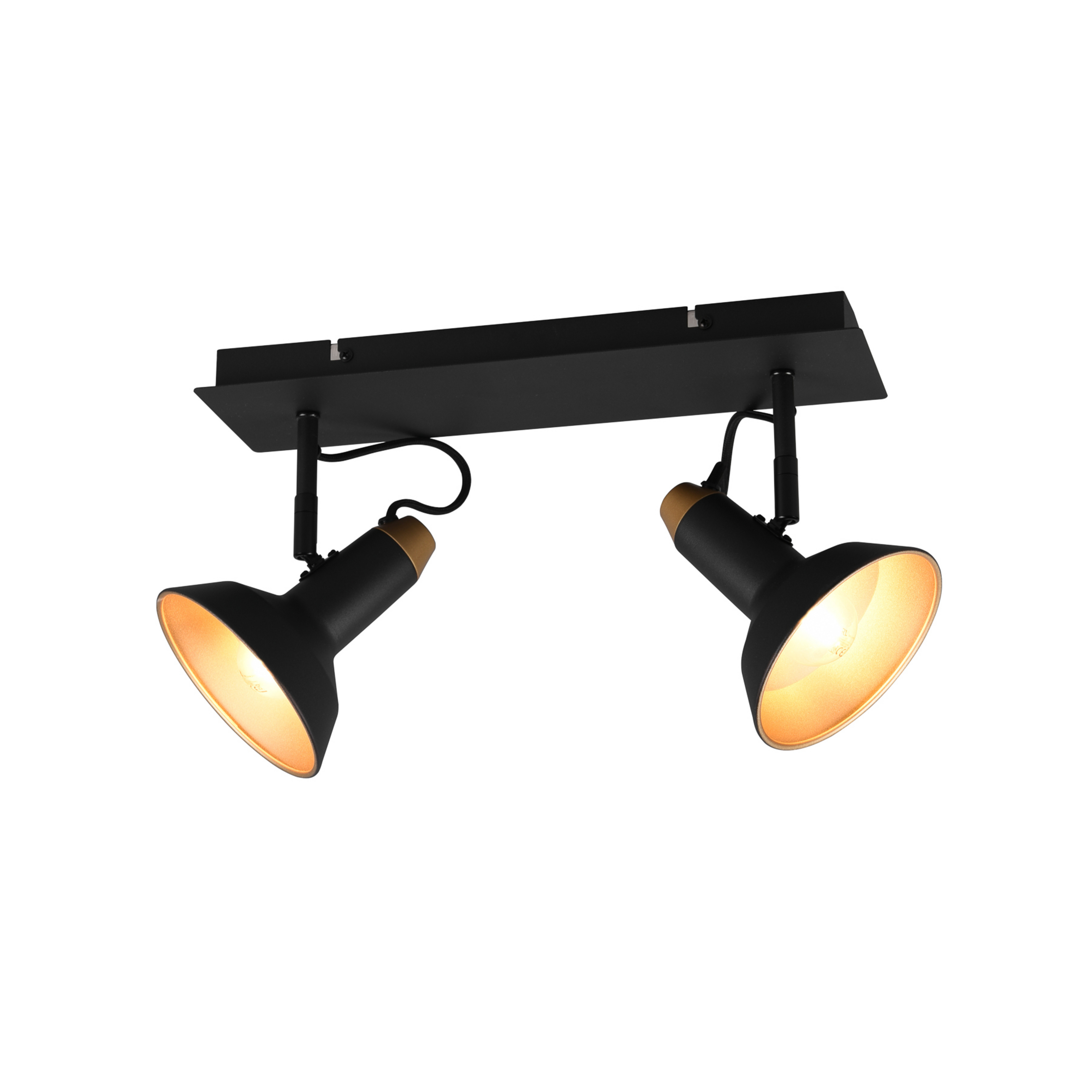 Προβολέας οροφής Roxie περιστρεφόμενος 2-φωτός μαύρος ματ