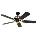 Black Magic elegant ceiling fan