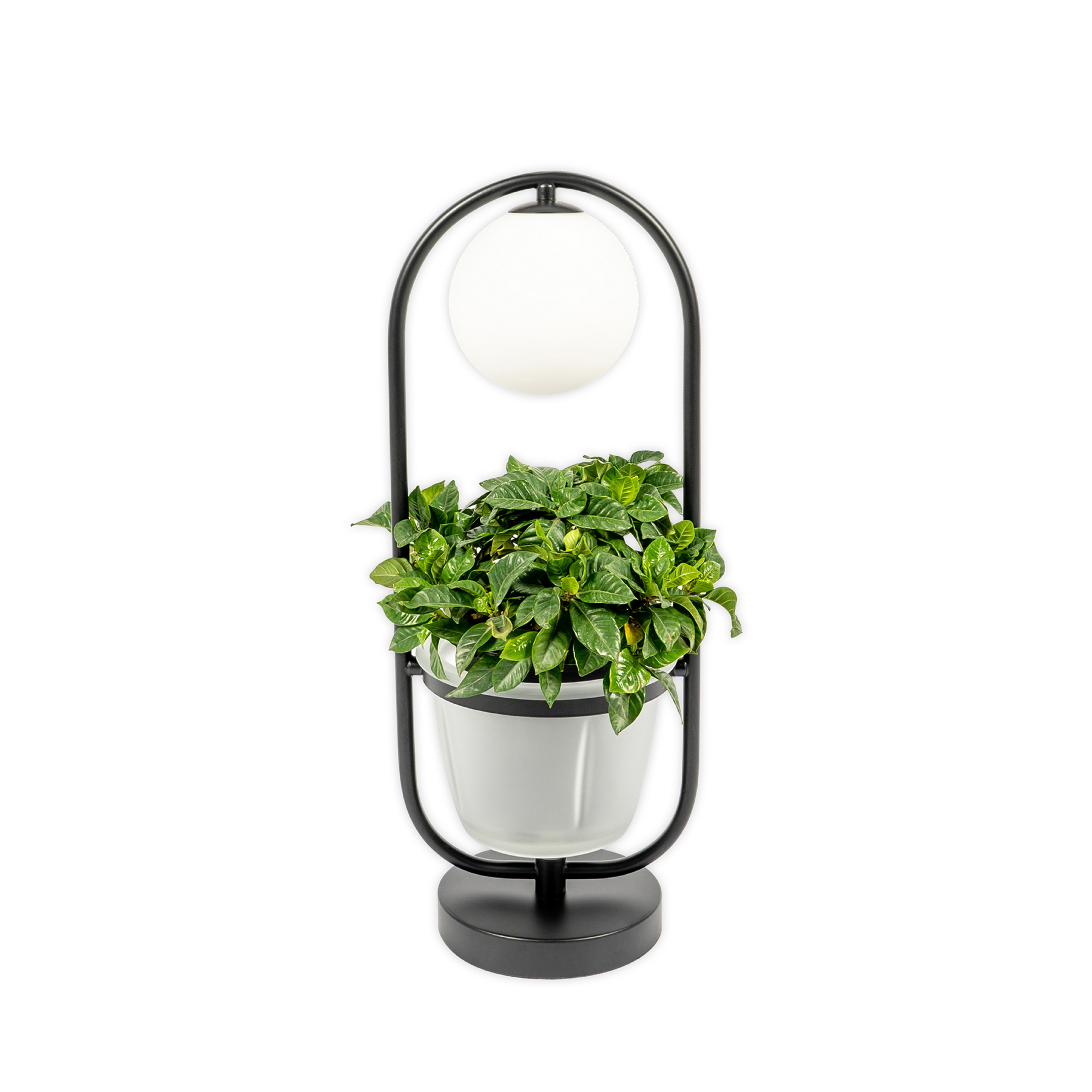 Orna Table Lamp Black/Opal - Lindby