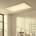 LED ceiling light Frameless RGBW, rectangular