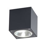 Cordy LED Außen Spotlight Graphite - Lucande