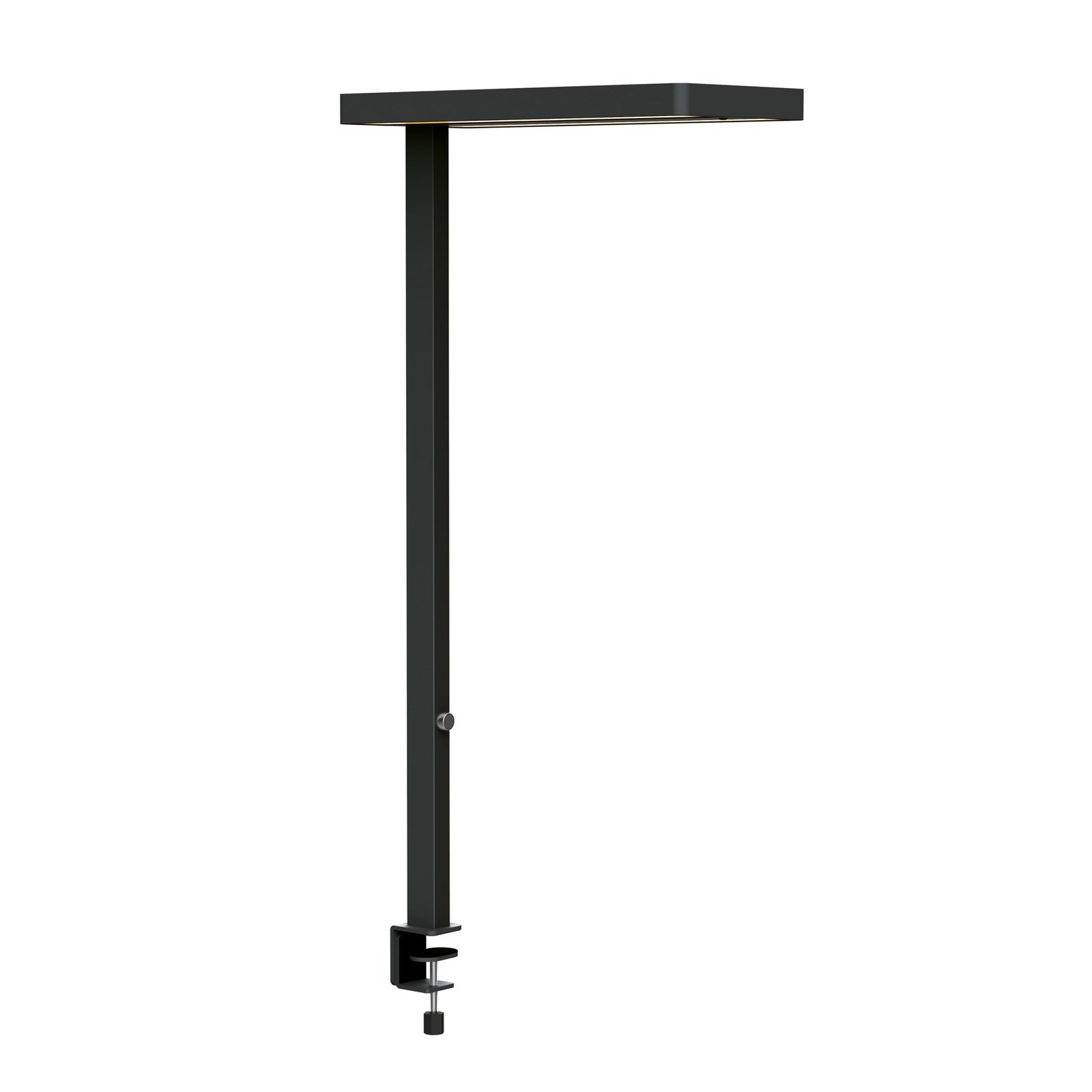 MAULjuvis LED-bordslampa, svart, klämbar bas