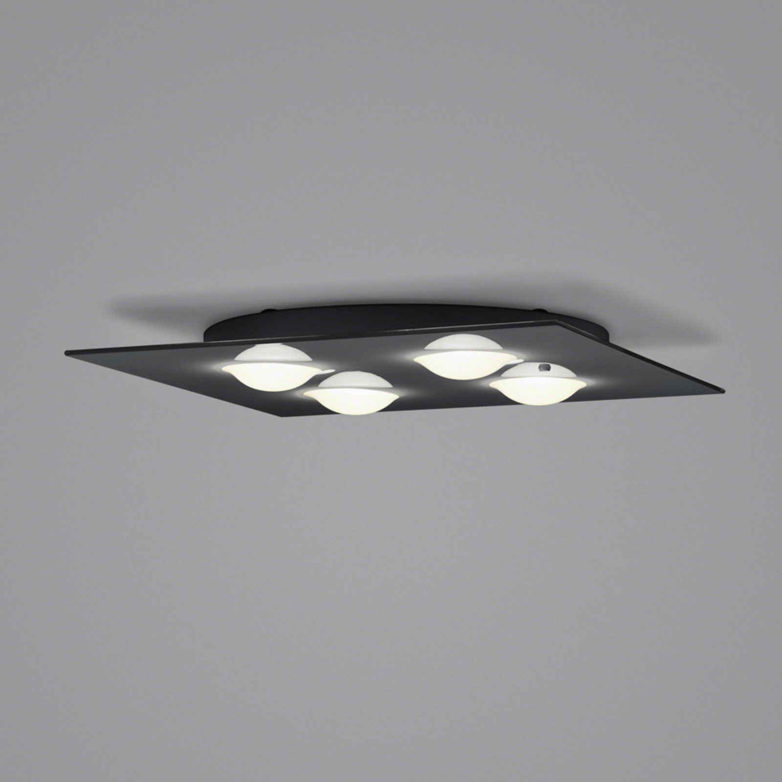 Helestra Nomi LED griestu lampa 38x38cm tumši melna