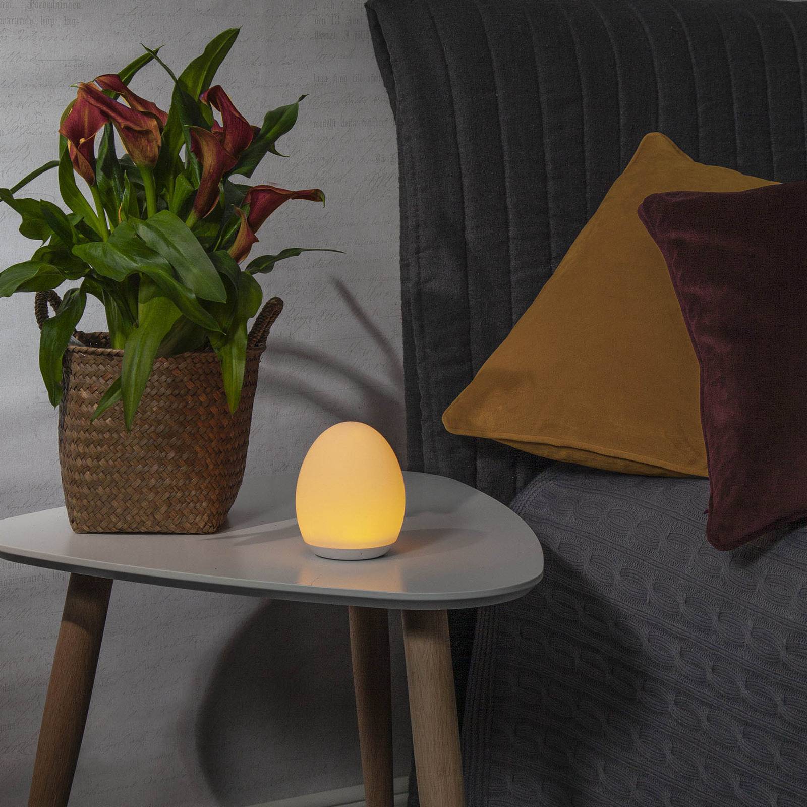 Lampka nocna LED 357-61, funkcja dotykowa, RGBW