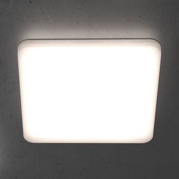 STEINEL RS PRO R20 Q basic LED ceiling lamp