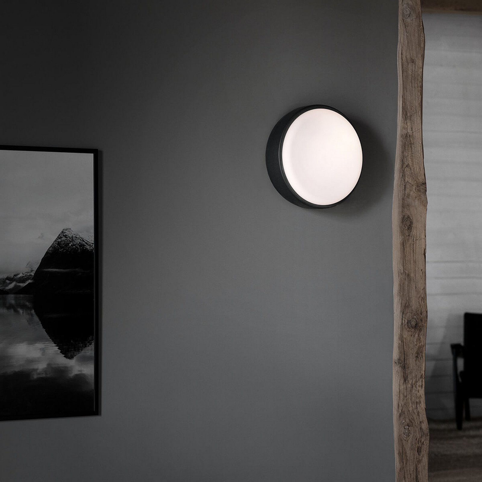 Northern Over Me plafonieră antracit 40 cm - Camera de zi / sufragerie - design - antracit opal - Metal