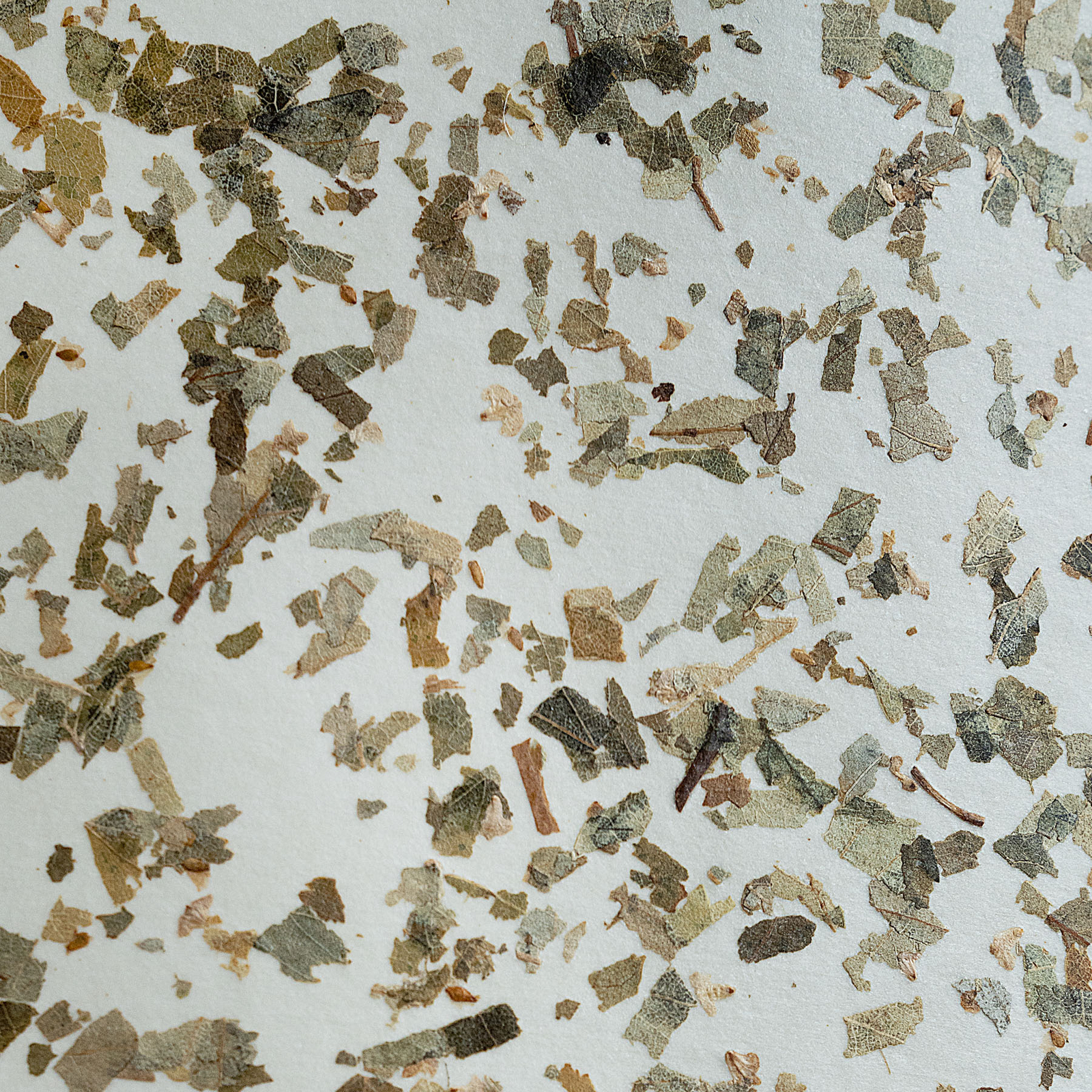 Stropna svetilka Butterburn, Ø 38 cm, bež/zelena, tkanina