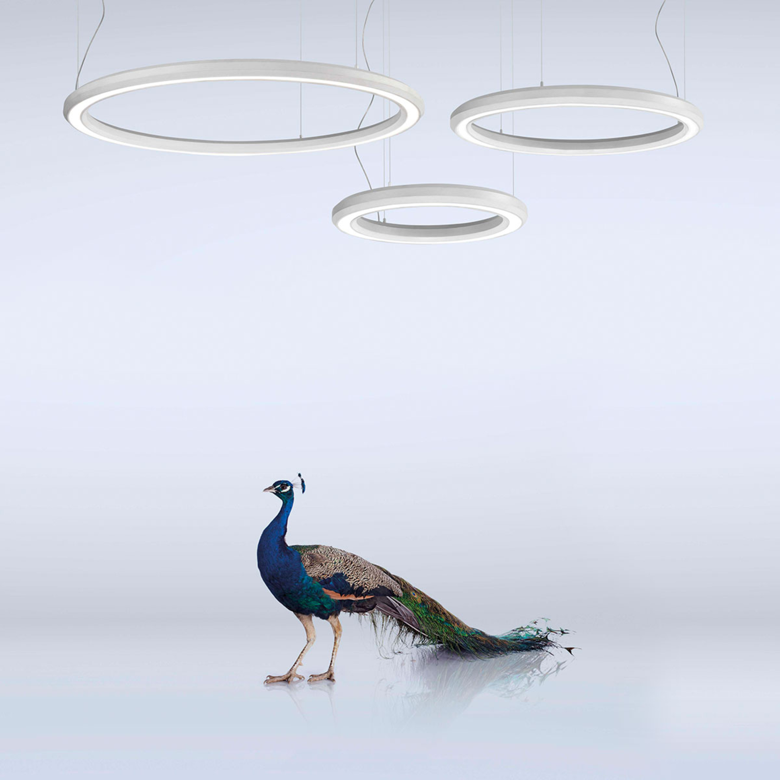 LED-Hängeleuchte Materica unten