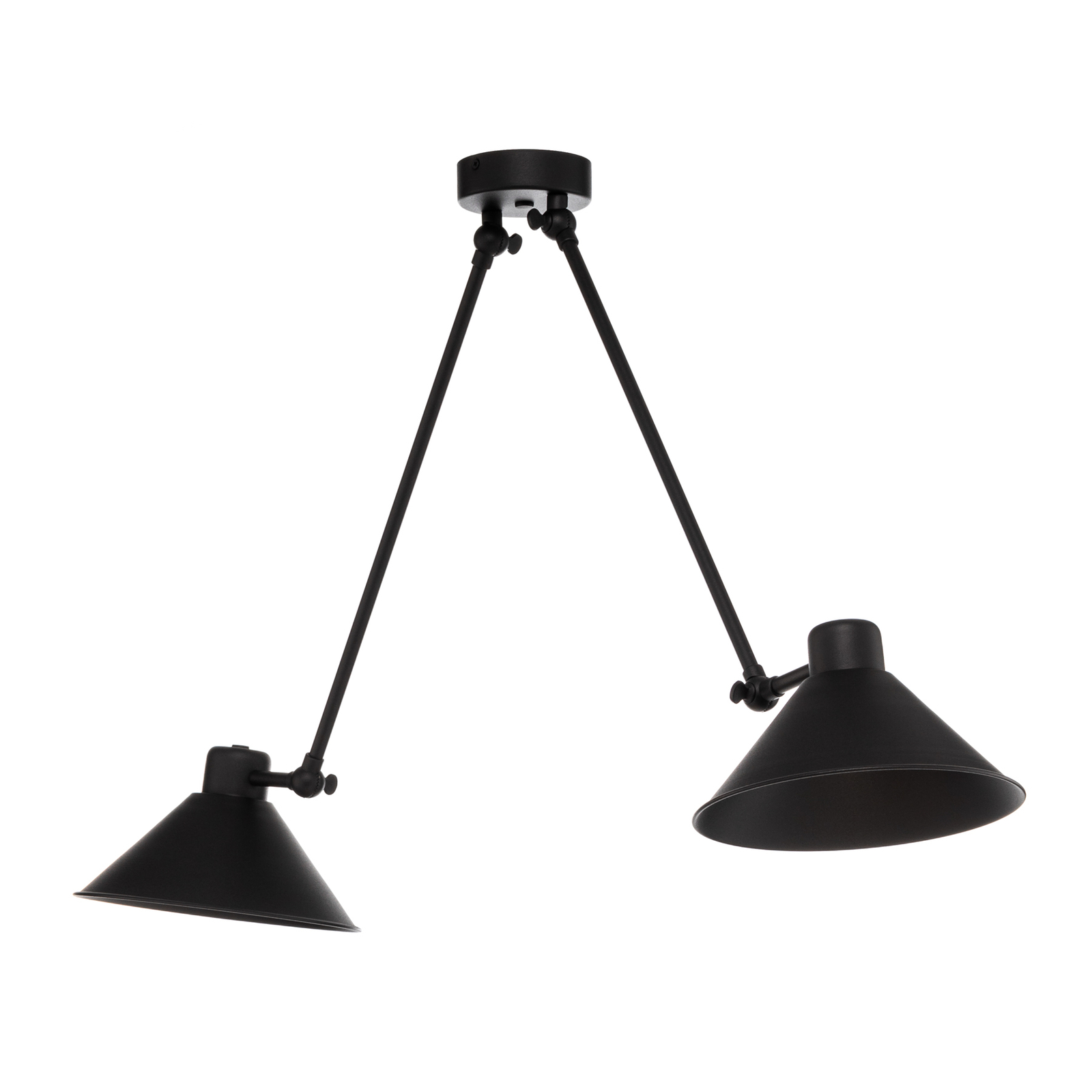 Pendant light Alan, movable, black, 2-bulb