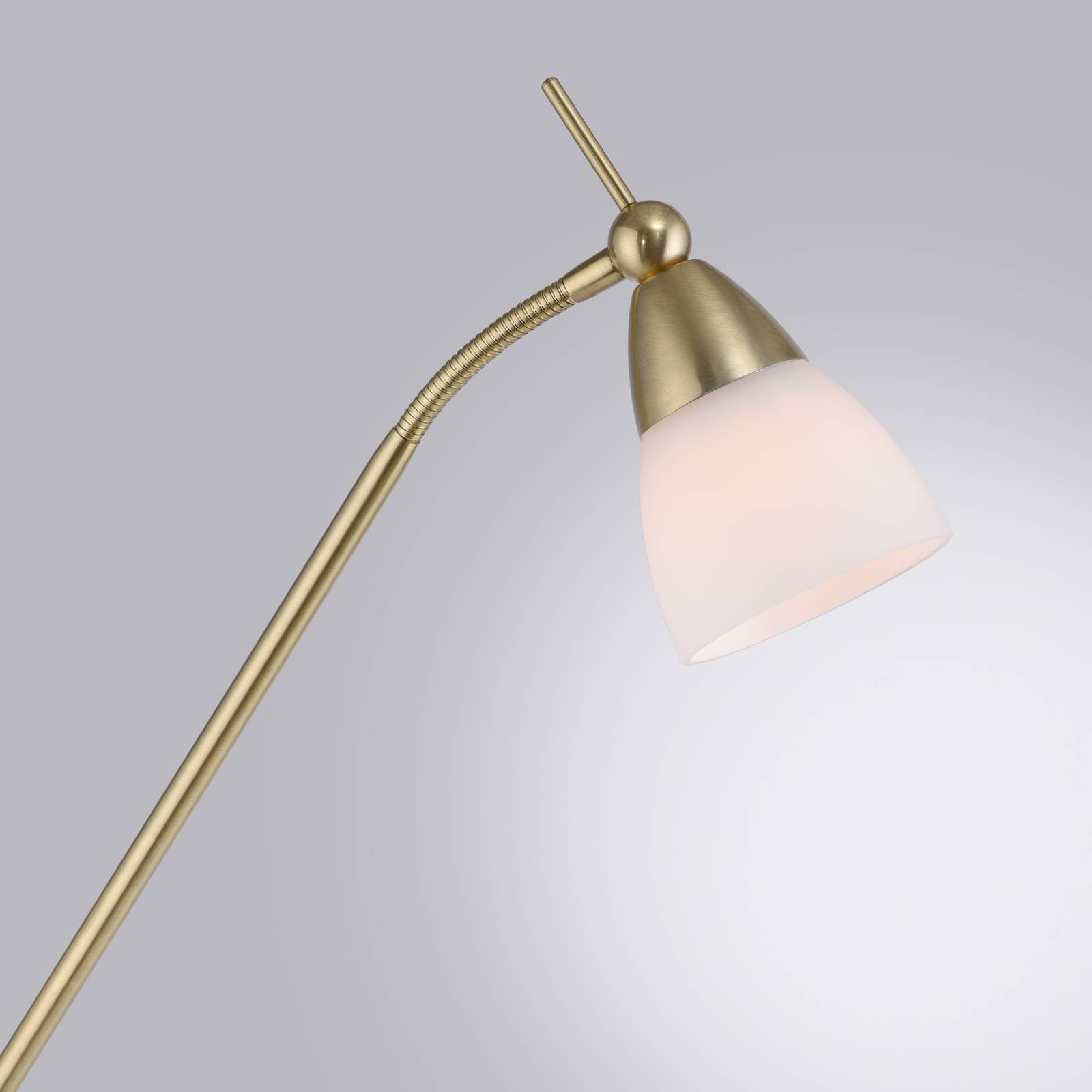 Lampa stojąca Paul Neuhaus Pino, mosiądz, 163 cm, ściemniana, G9