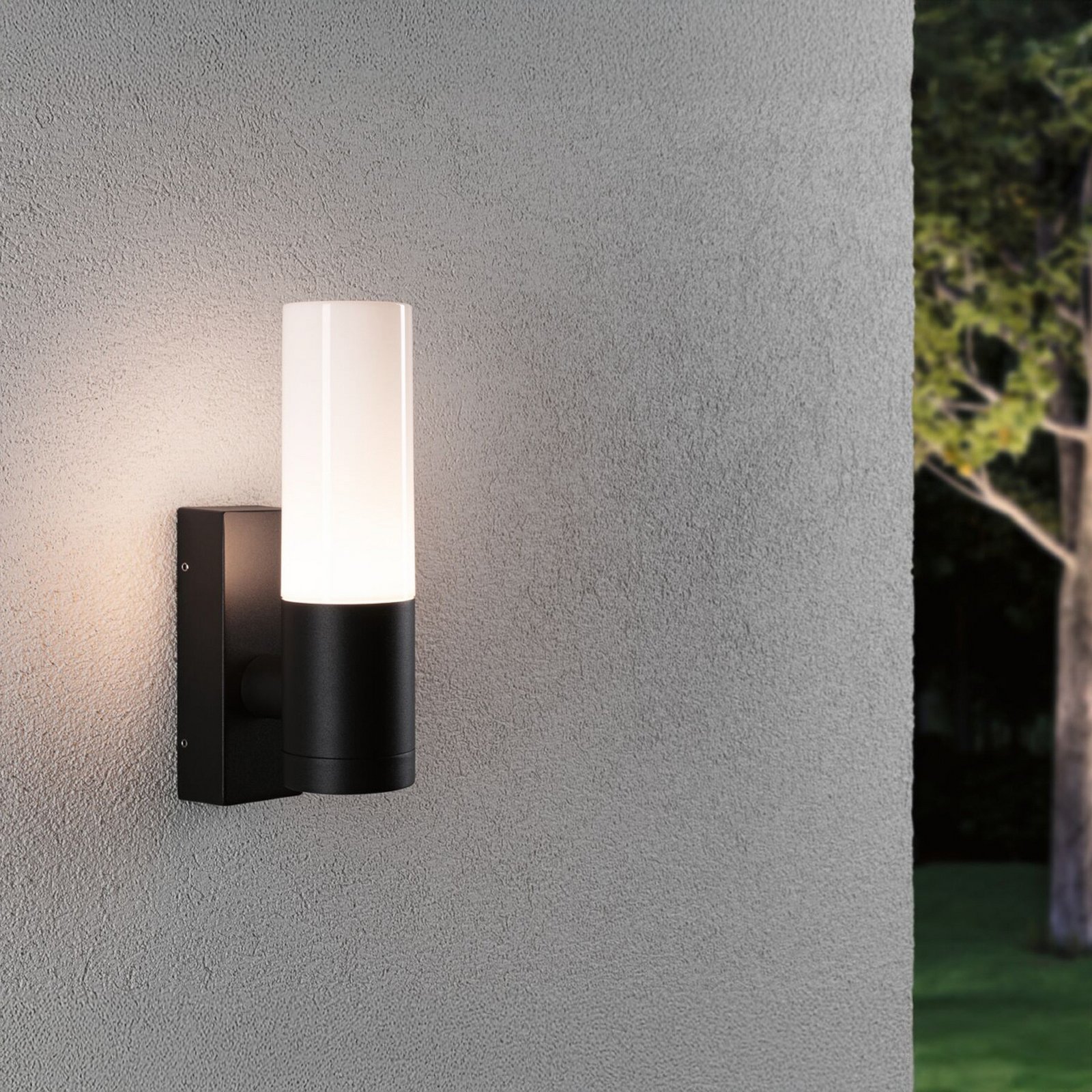 Applique d'extérieur Paulmann Tralia, anthracite, hauteur 25 cm IP44