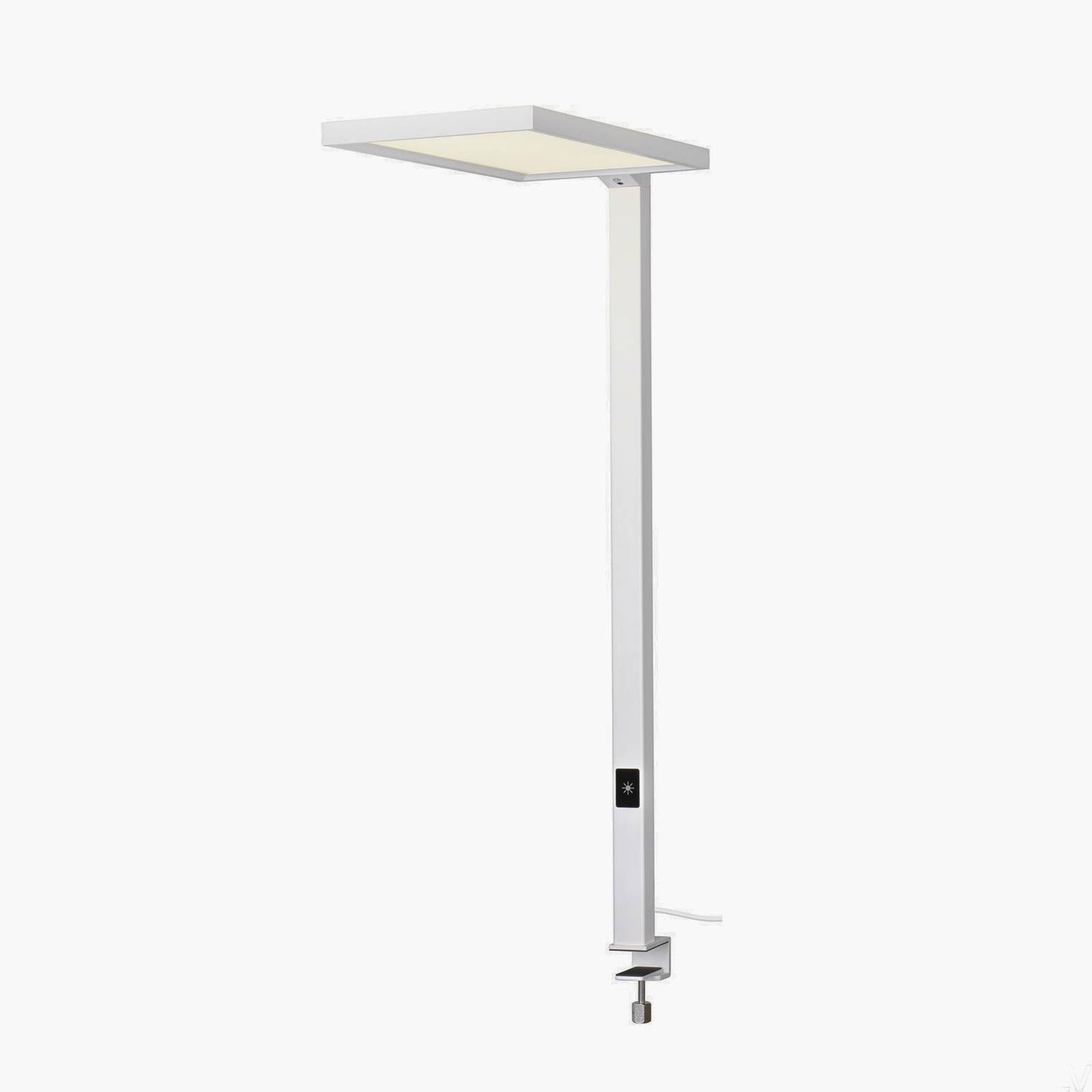 SLV Clip On Light - Workroom / Office - Clip / Plug-in Light - Desk Lamp - dimmable - Modern - White
