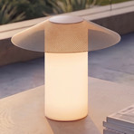 Lucande LED-Terrassenleuchte ZAMIRAS, 40 cm, silber, IP65