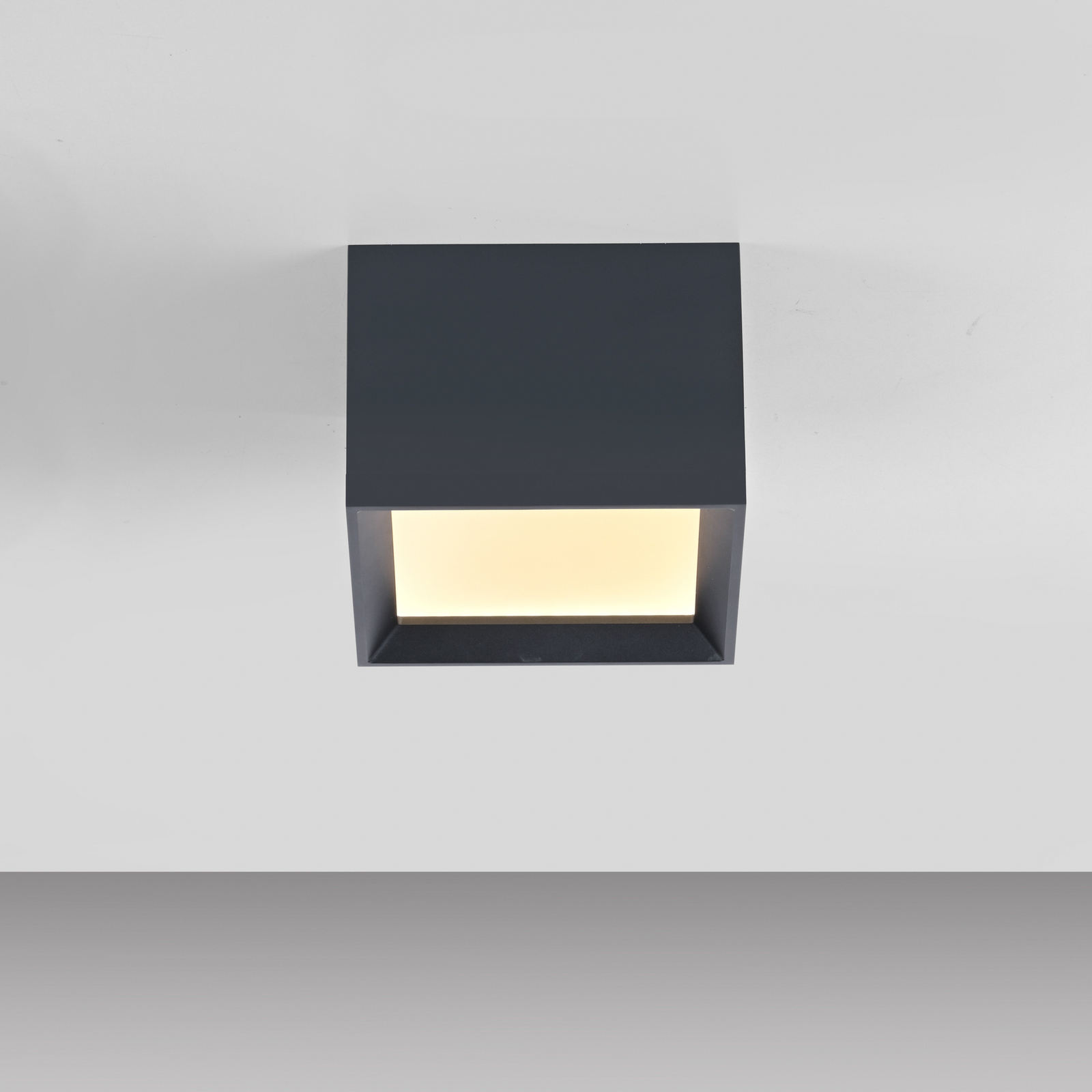 LED-stropna svetilka PURE Manhatten, mystic grey, 1-žarilna, CCT